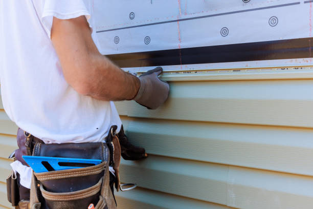 Affordable Vinyl Siding solutions in Hillside, NJ